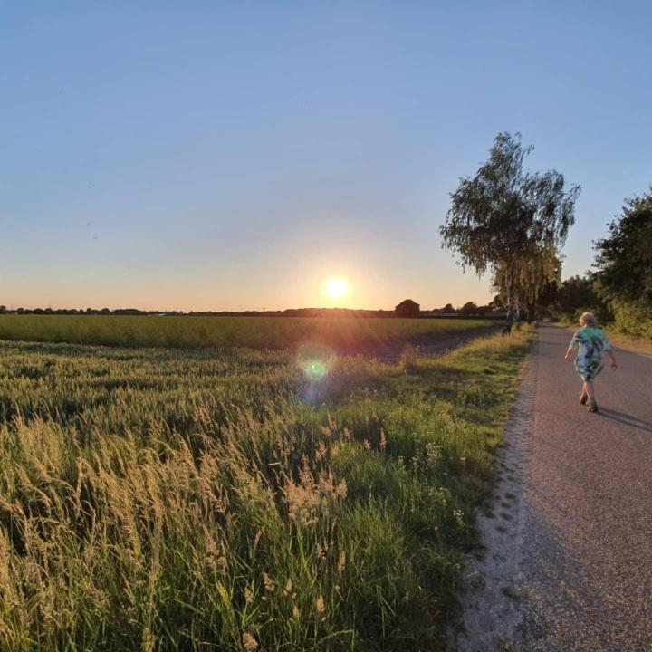 De Vliegende Vlinder Bed & Breakfast Nederweert Dış mekan fotoğraf