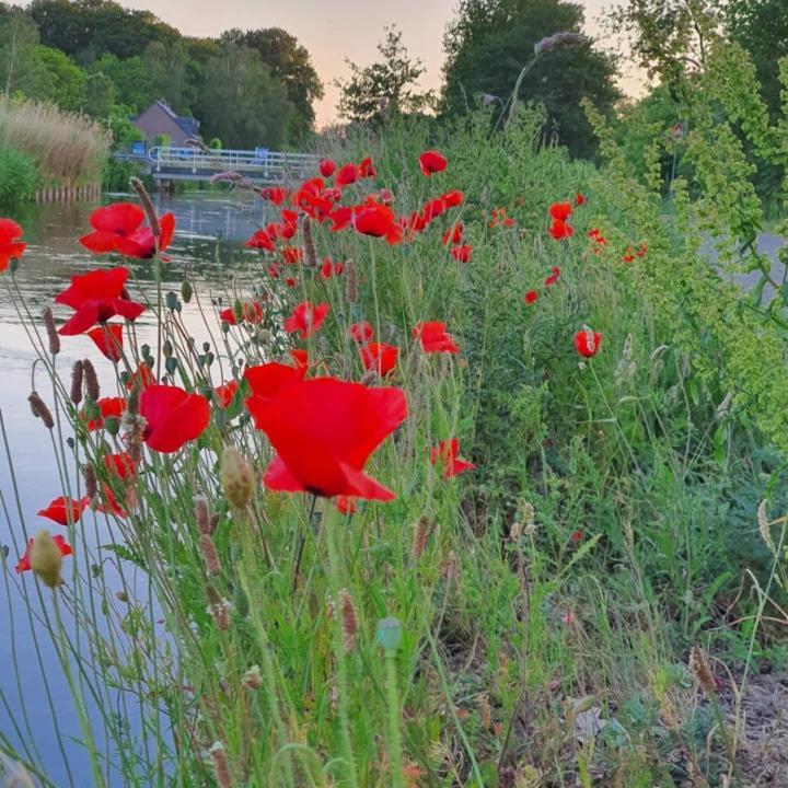 De Vliegende Vlinder Bed & Breakfast Nederweert Dış mekan fotoğraf