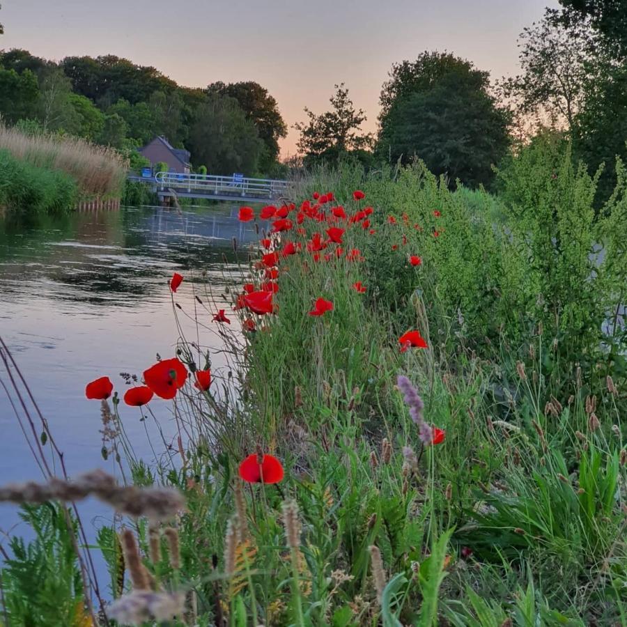 De Vliegende Vlinder Bed & Breakfast Nederweert Dış mekan fotoğraf