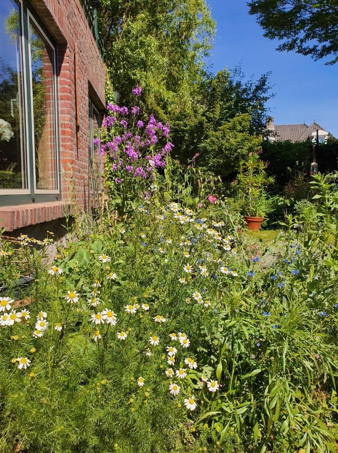 De Vliegende Vlinder Bed & Breakfast Nederweert Dış mekan fotoğraf
