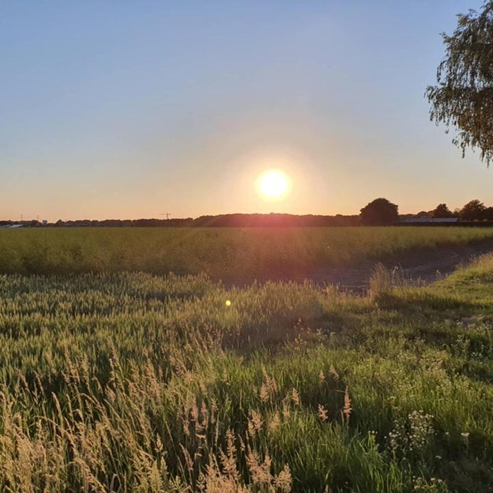 De Vliegende Vlinder Bed & Breakfast Nederweert Dış mekan fotoğraf